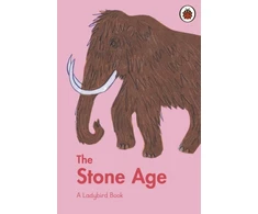 KNYGA Sidra Ansari Ladybird Book: The Stone Age