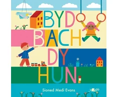 KNYGA Sioned Medi Evans Byd Bach dy Hun