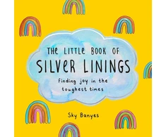 KNYGA Sky Banyes Little Book of Sidabrinis Linings