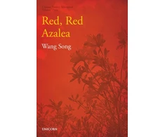 KNYGA Song Wang Poverty Alleviation Series Volume Three