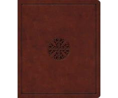 KNYGA Spck ESV Journaling Bible