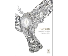 KNYGA SPCK NLT Holy Bible: New Living Translation Popular Flexibound Dove Edition, British Text Version