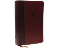 KNYGA Spiros Zodhiates NKJV, Spirit-Filled Life Bible, Third Edition, Leathersoft, Burgundy, Raudona Letter, Comfort Print