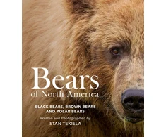 KNYGA Stan Tekiela Bears of North America