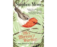 KNYGA Stephen Moss Mrs Moreau's Warbler