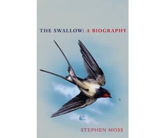 KNYGA Stephen Moss Swallow
