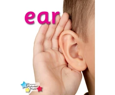 KNYGA Stephen Rickard Alpha Stars ear