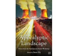 KNYGA Steve Ely Apocalyptic Landscape