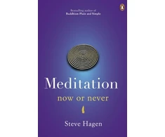 KNYGA Steve Hagen Meditation Now or Never