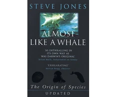 KNYGA Steve Jones Almost Like A Whale