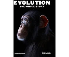 KNYGA Steve Parker Evolution: The Whole Story