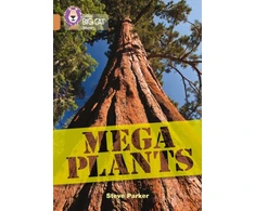 KNYGA Parker Mega Plants