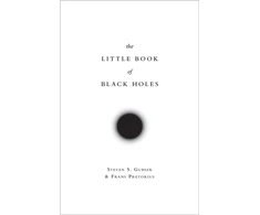 KNYGA Steven Scott Gubser Little Book of Juodas Holes