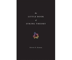 KNYGA Steven Scott Gubser The Little Book of String Theory