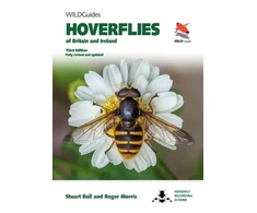 KNYGA Stuart Ball Hoverflies of Britain and Ireland