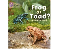 KNYGA Sue Barraclough Frog or Toad?