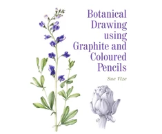 KNYGA Sue Vize Botanical Drawing using Graphite and Coloured Pencils