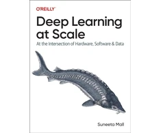 KNYGA Suneeta Mall Deep Learning at Scale