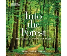 KNYGA Susan Hitchcock Into the Forest