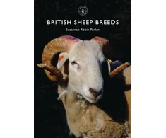 KNYGA Susannah Robin Parkin British Sheep Breeds