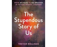 KNYGA T Rollings Stupendous Story of Us