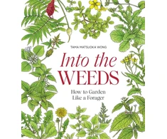 KNYGA Tama Matsuoka Wong Into the Weeds