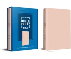 KNYGA Tara Leigh Cobble Bible Recap 365-Day Chronological Study Bible