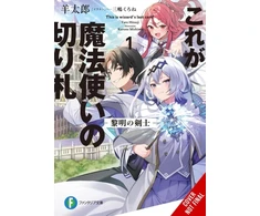 KNYGA Taro Hitsuji This Is the Wizard’s Secret Weapon, Vol. 1 (light novel)