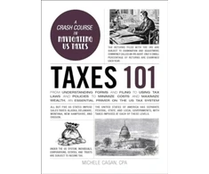 KNYGA Michele Cagan Taxes 101