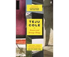 KNYGA Teju Cole Known and Strange Things