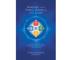 KNYGA Tenzin W Rinpoche with Form, Energy, and Light