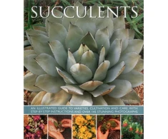 KNYGA Terry Hewitt Succulents