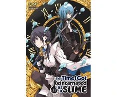 KNYGA That Time I Got Reincarnated as a Slime, Vol. 11 (light novel)
