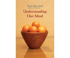 KNYGA Thch Nht Hnh Understanding Our Mind
