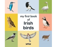 KNYGA The Obrien Press My First Book of Irish Birds