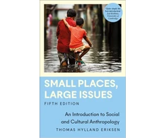 KNYGA Thomas Hylland Eriksen Small Places, Large Issues