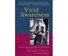 KNYGA Thrangu Rinpoche Vivid Awareness