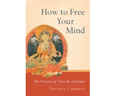 KNYGA Thubten Chodron How to Free Your Mind