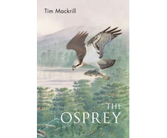 KNYGA Tim Mackrill Osprey