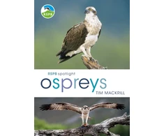 KNYGA Tim Mackrill RSPB Spotlight Ospreys