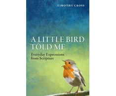 KNYGA Timothy Cross Little Bird Told Me