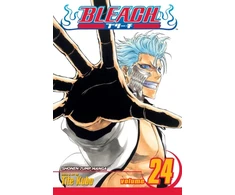 KNYGA Tite Kubo Bleach, Vol. 24
