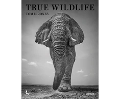 KNYGA Tom D Jones True Wildlife