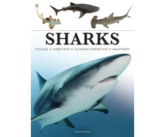KNYGA Tom Jackson Sharks &amp; Underwater Predators