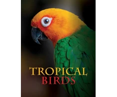 KNYGA Tom Jackson Tropical Birds