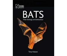 KNYGA Tony Hutson Bats