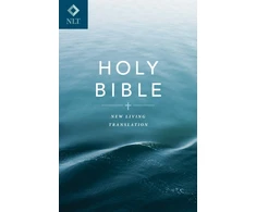 KNYGA Tyndale Gift and Award Bible