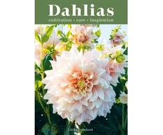 KNYGA Ulrika Gronlund Dahlias
