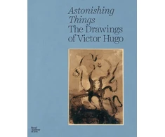 KNYGA Victor Hugo Astonishing Things