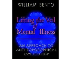 KNYGA W Bento Lifting the Veil of Mental Illness